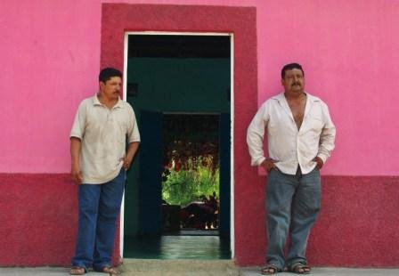 Increase family income of 50 Mexican farmers