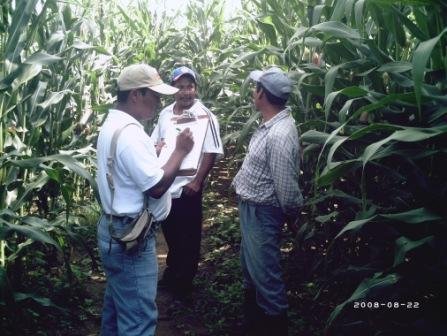 Increase family income of 50 Mexican farmers