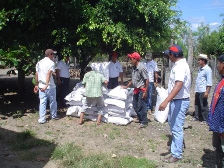 Increase family income of 50 Mexican farmers