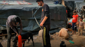 Rabies Camp 2022 - Loca Slum