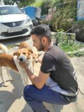 Vaccinated and Loved - Rabies Camp 2022