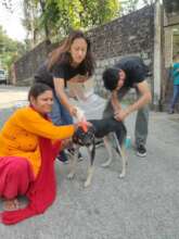 Rabies Camp 2022