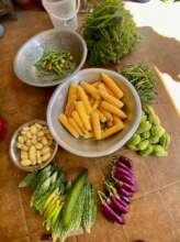 Organic Vegetables for Women in our Center