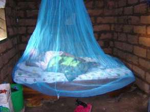 Bednet