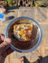 Local honey from our bee hives
