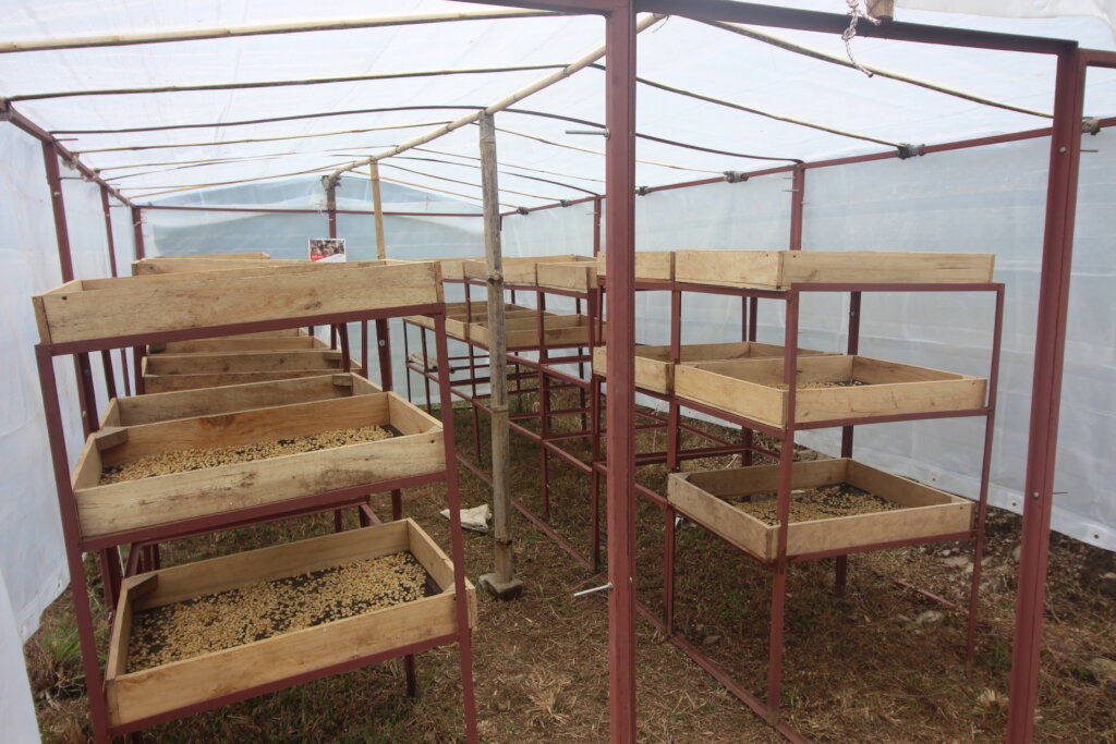 Empower Nepal's Organic Coffee and Beekeeping