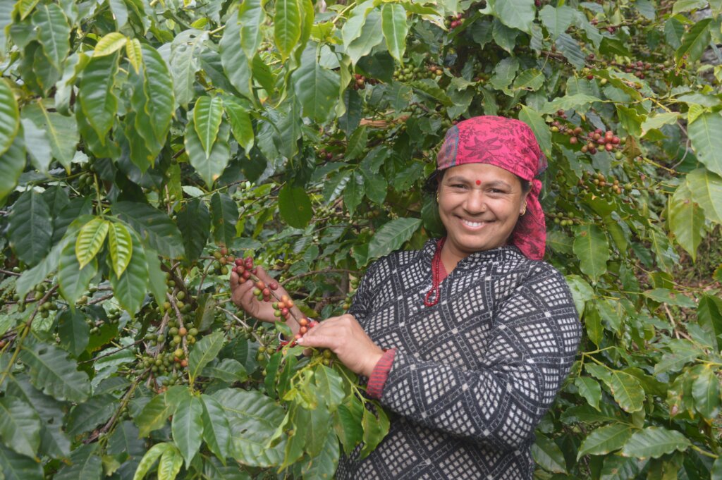 Empower Nepal's Organic Coffee and Beekeeping