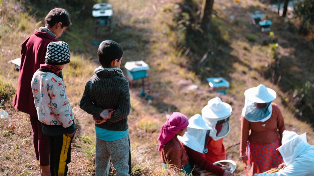 Empower Nepal's Organic Coffee and Beekeeping