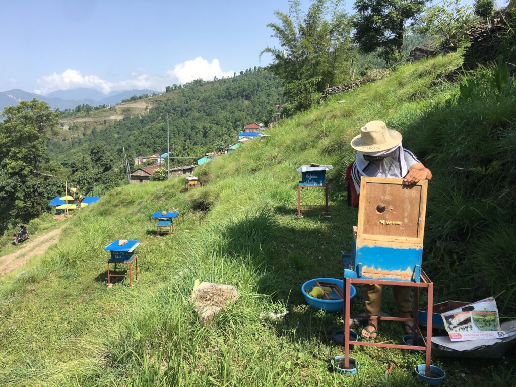Empower Nepal's Organic Coffee and Beekeeping