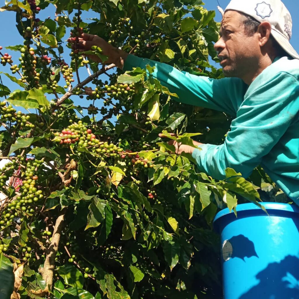 Empower Nepal's Organic Coffee and Beekeeping