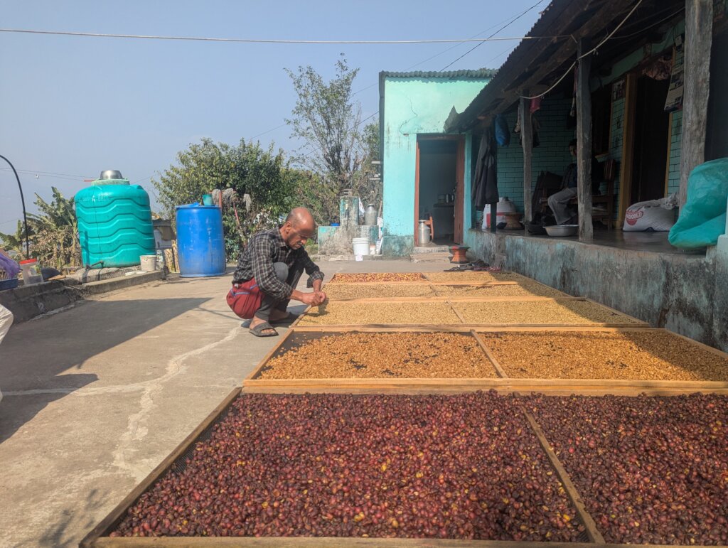 Empower Nepal's Organic Coffee and Beekeeping