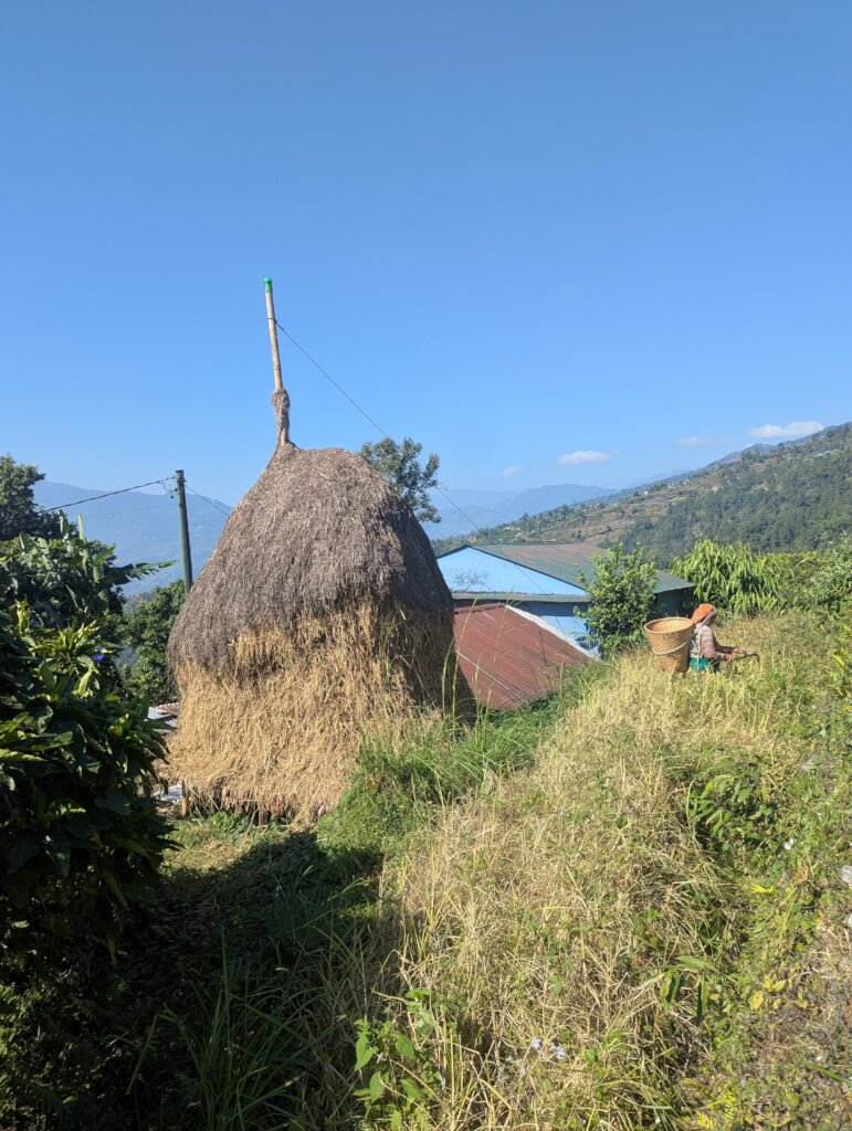 Empower Nepal's Organic Coffee and Beekeeping