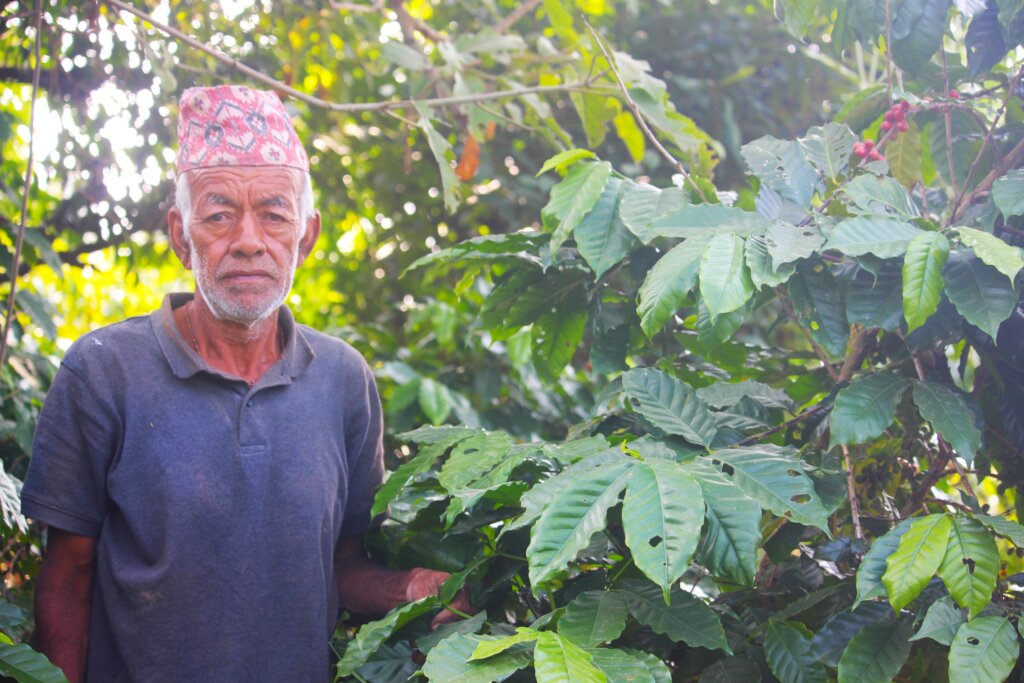 Empower Nepal's Organic Coffee and Beekeeping