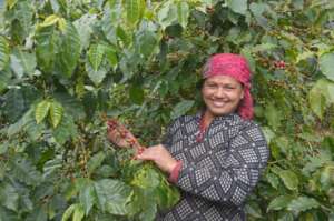 One of our women coffee farmer in our village