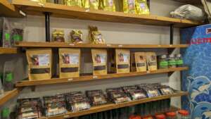 Our coffee packets at organic store for sell