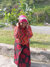 One of the womens farmers carrying coffee plants