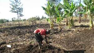 A bit of farming