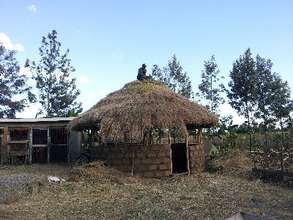 A bit of traditional construction