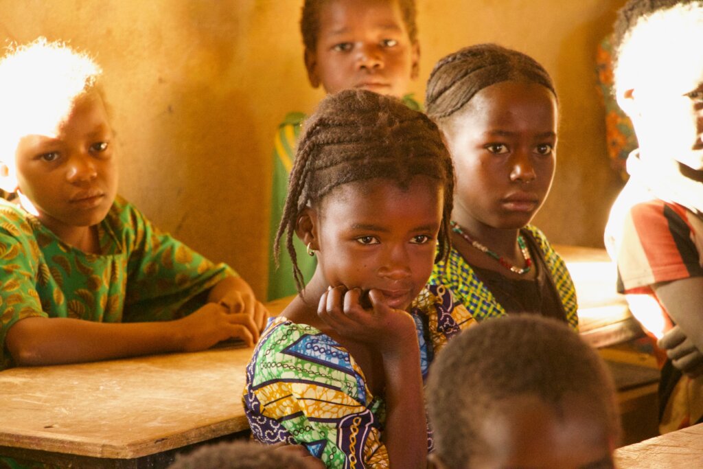 Support Nigeriens During this Critical Time
