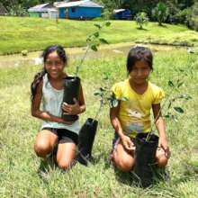 Amazon reforestation project in Peru