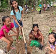 Amazon reforestation project in Peru