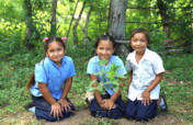 Plant Food Trees for Climate and Hunger