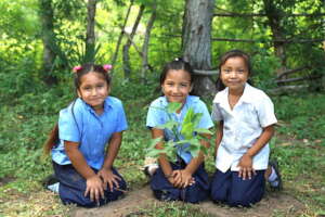 Plant Food Trees for Climate and Hunger