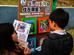 Game 'Where do Cao Vit Gibbon live'