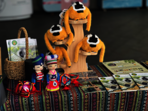 Zhuang culture and Cao Vit Gibbon displayed