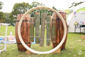 Impressive Enrichment Toy Made by Students