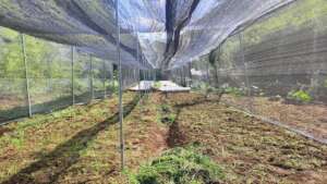 Sunshade in the nursery
