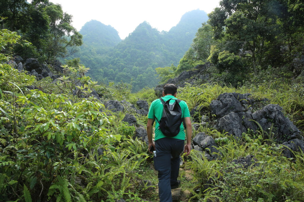 Restore Habitat for Cao Vit Gibbons