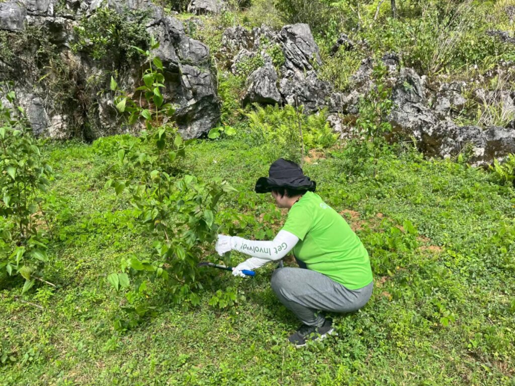 Our volunteers are working on weed control