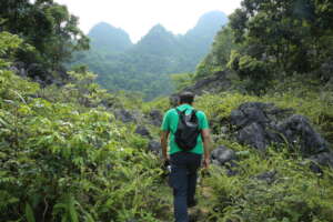 Staff visits to project sites