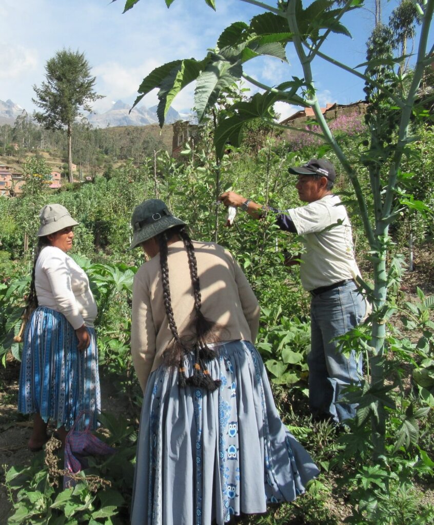Help secure vital community water in the Andes