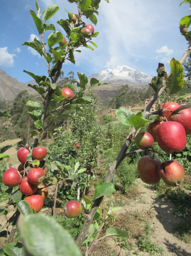 Help secure vital community water in the Andes
