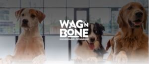 Dream Job at Wag'n Bone