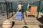 Emergency Preparedness: Protecting Wildlife