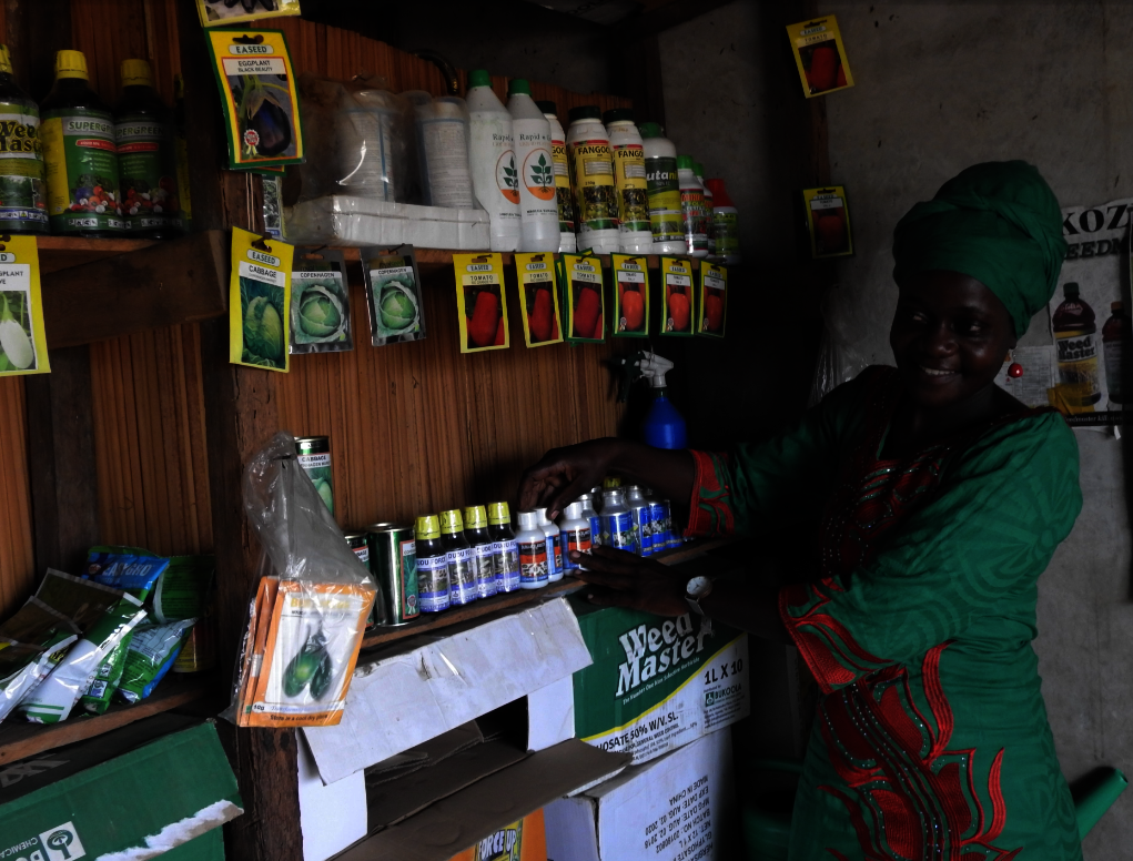 This woman runs an agricultural inputs shop