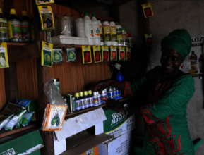 This woman runs an agricultural inputs shop