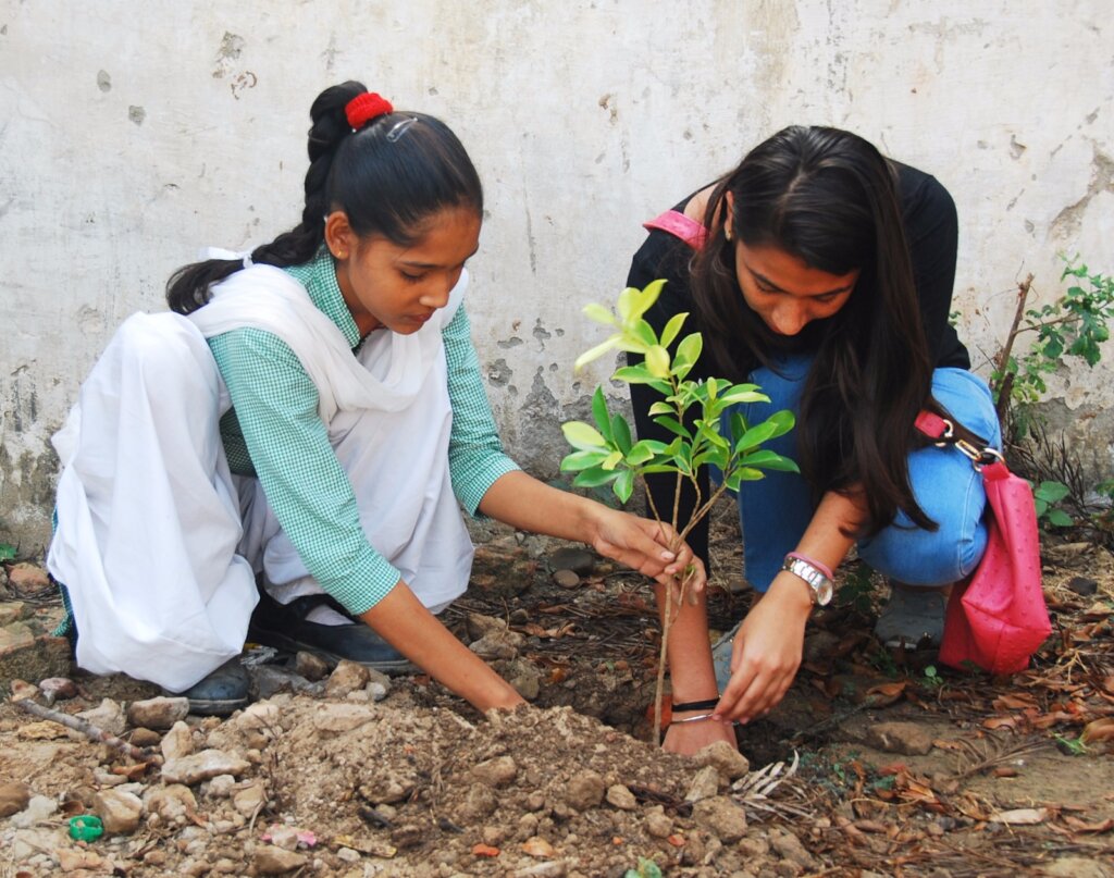 Help Bhumi Plant 10,000 Trees