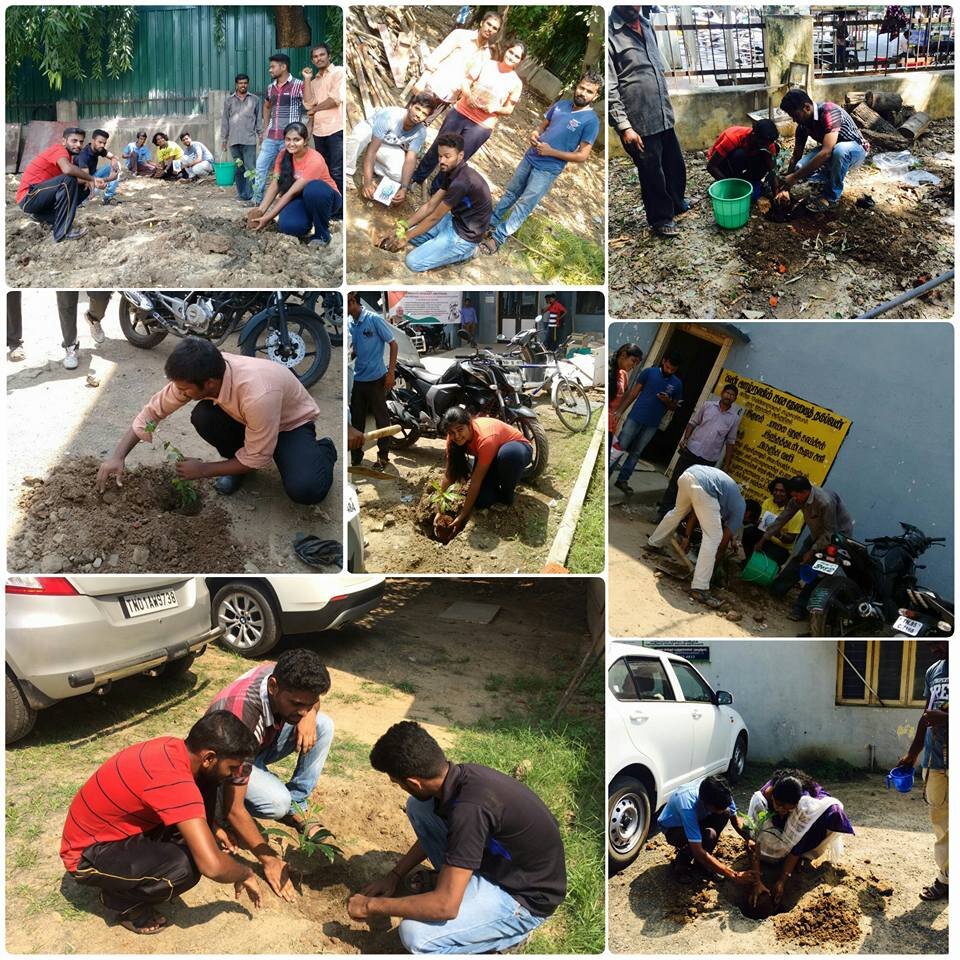 Help Bhumi Plant 10,000 Trees