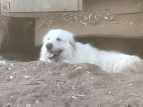 The generational sleeping hole.