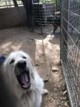 Landon with his dirt mustache!
