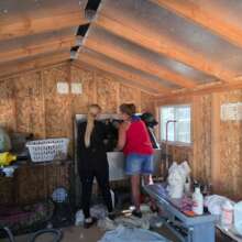 Sara and Kim grooming Irbis.