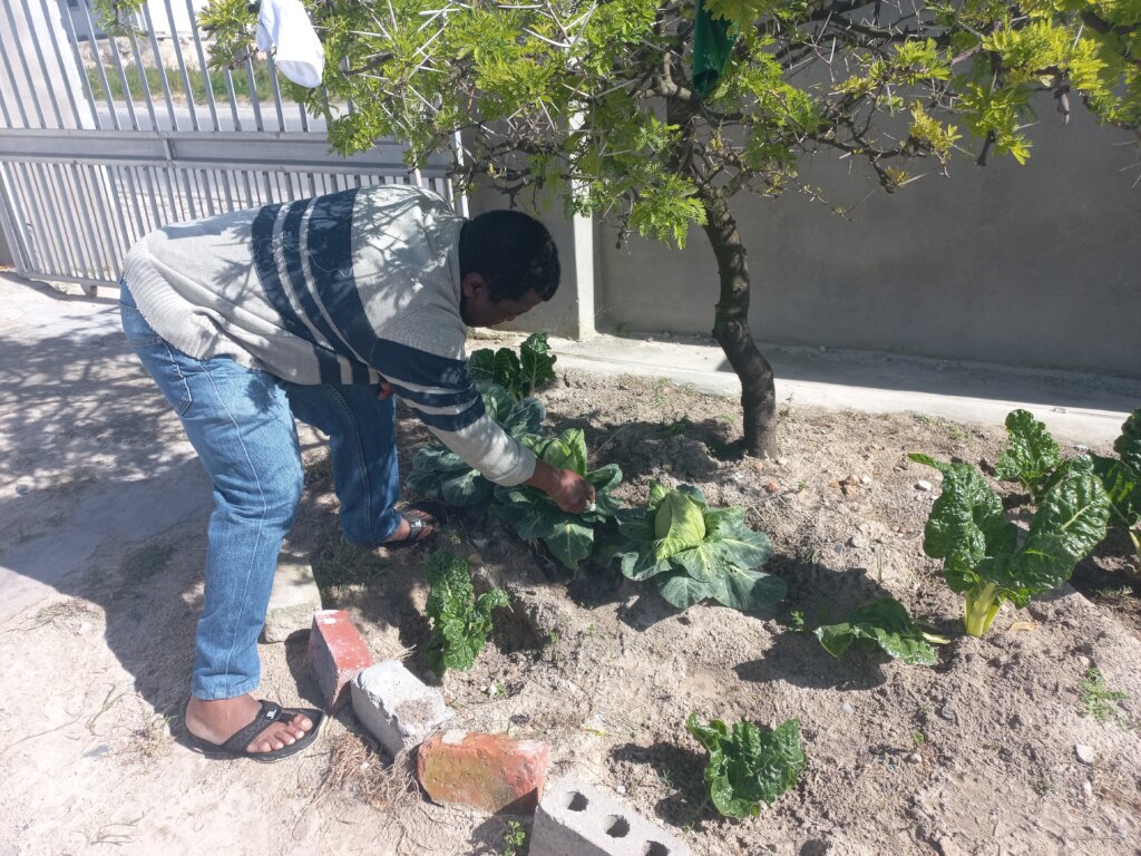 Sijonge Kuwe Food Gardening Project