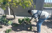 Sijonge Kuwe Food Gardening Project