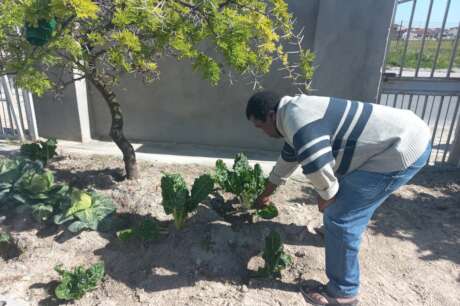 Sijonge Kuwe Food Gardening Project