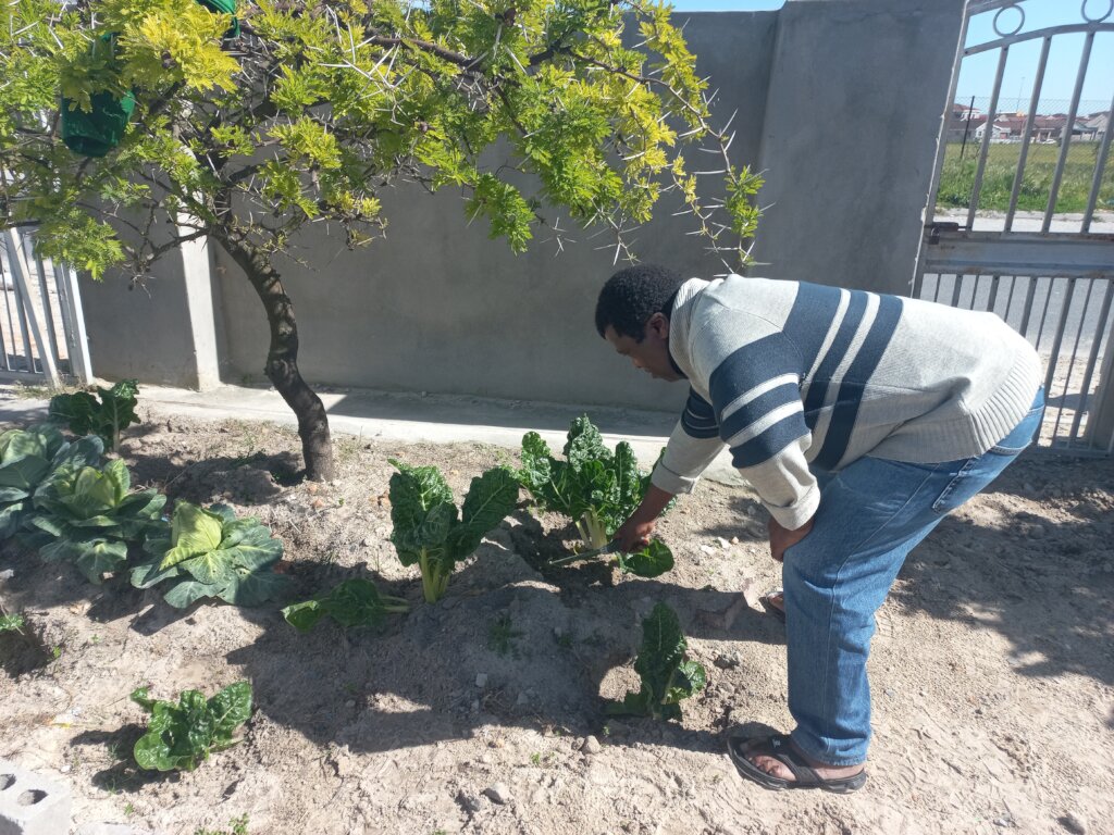 Sijonge Kuwe Food Gardening Project