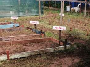 Community orchard in Paritilla